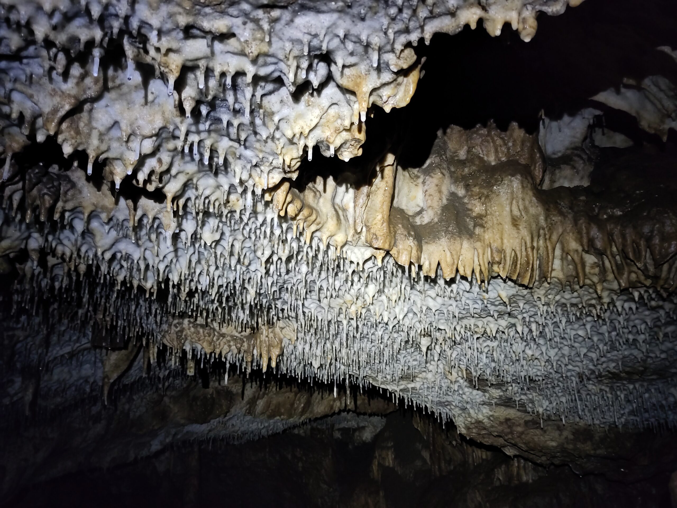 Speleologie - Afbeelding 5