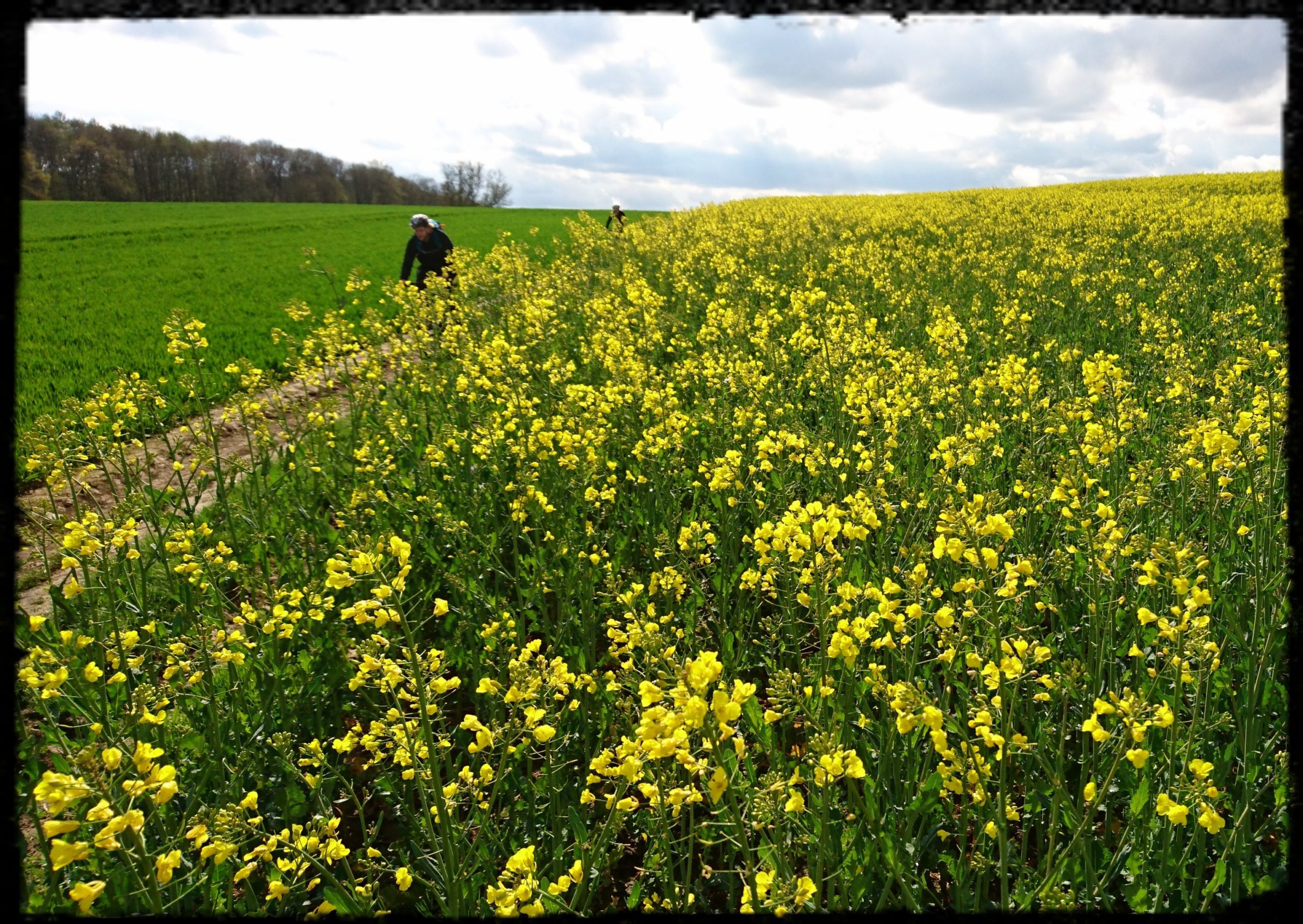 Mountainbike huren hele dag - Afbeelding 5