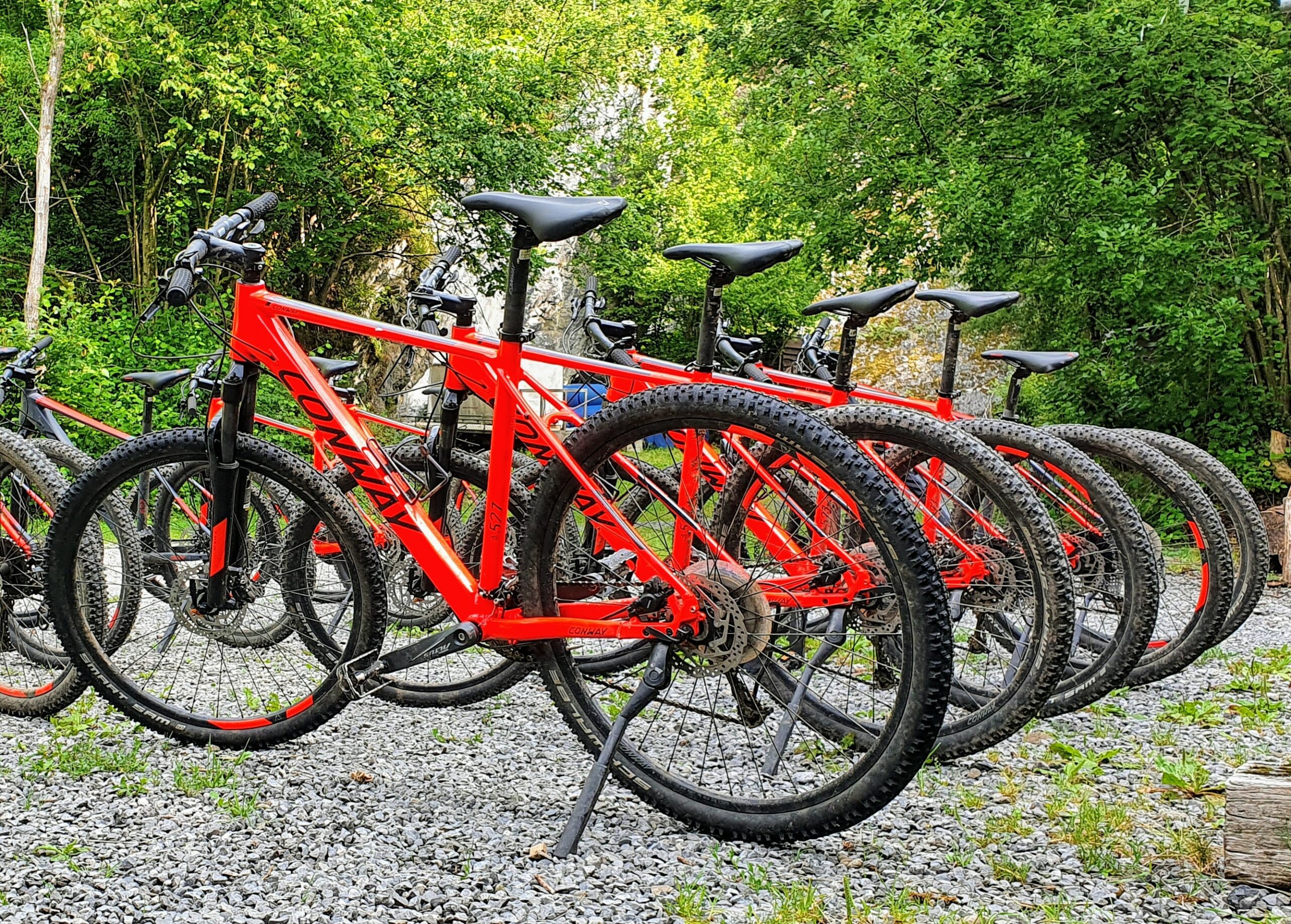 Mountainbike huren Ardennen - Afbeelding 5