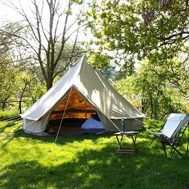 Micro-avontuur in de Brabantse Biesbosch - Afbeelding 5