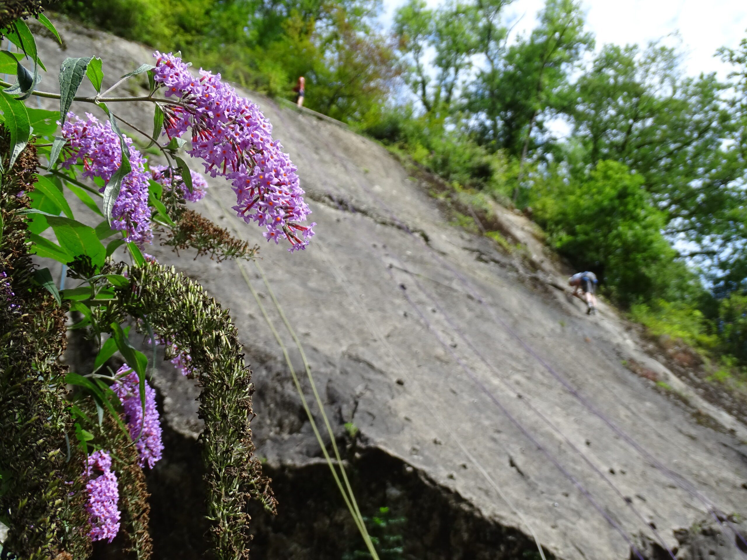 Vakantie programma - Afbeelding 3