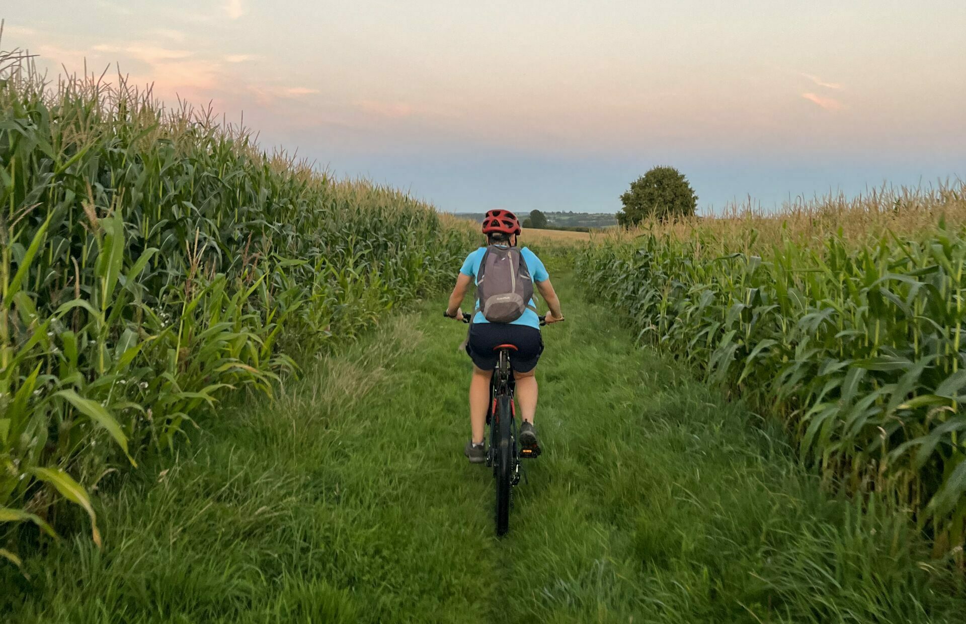 Featured image for “Mountainbiking with GPS-navigation (half day)”